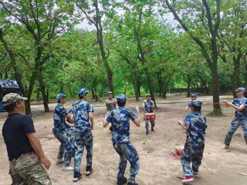 巅峰国际官网-钻营健全,你我一路成长